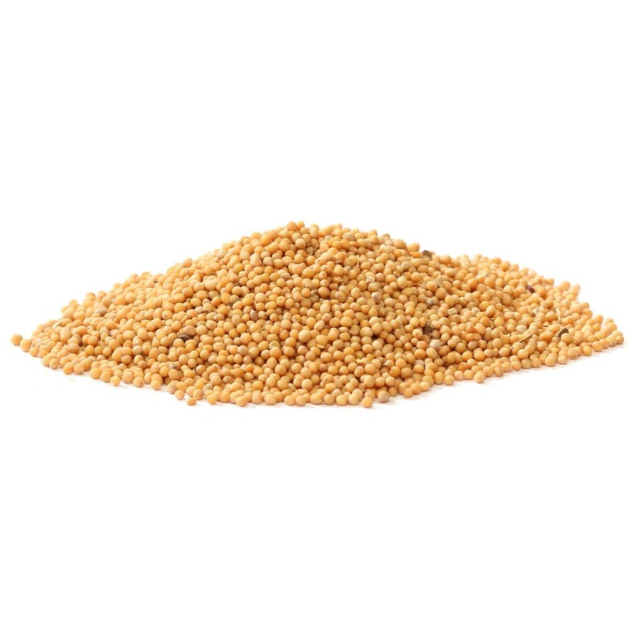 Gourmet Spices Red Stick Spice Company | Mustard Seed-Yellow-Whole