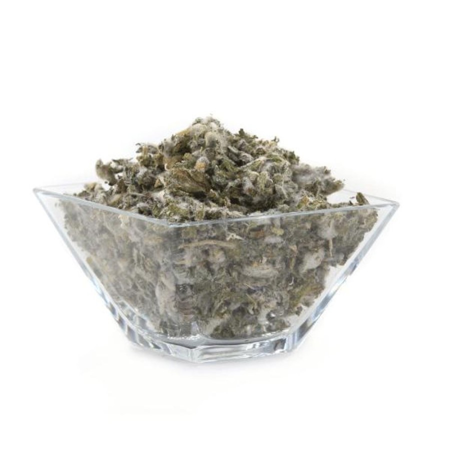 Tea & Teaware Red Stick Spice Company Botanicals | Mullein Leaf