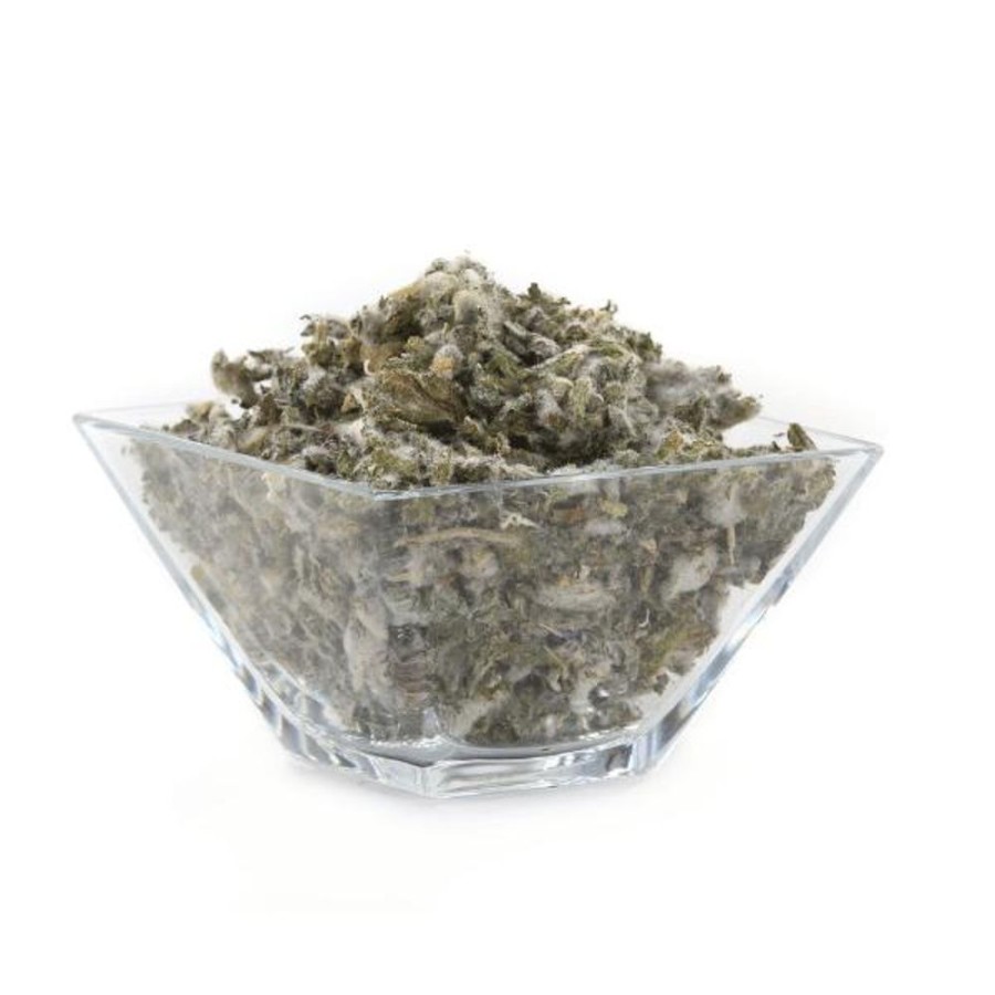 Tea & Teaware Red Stick Spice Company Herbal Teas | Mullein Leaf