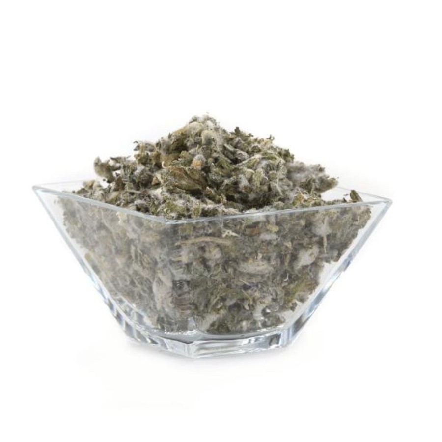 Tea & Teaware Red Stick Spice Company Immune Support Teas | Mullein Leaf