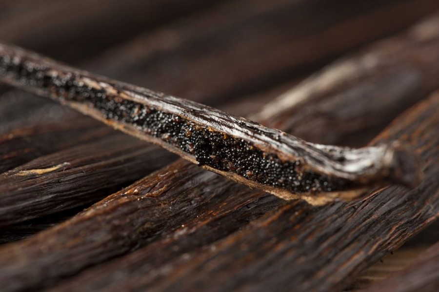 Baking Red Stick Spice Company | Madagascar Vanilla Beans